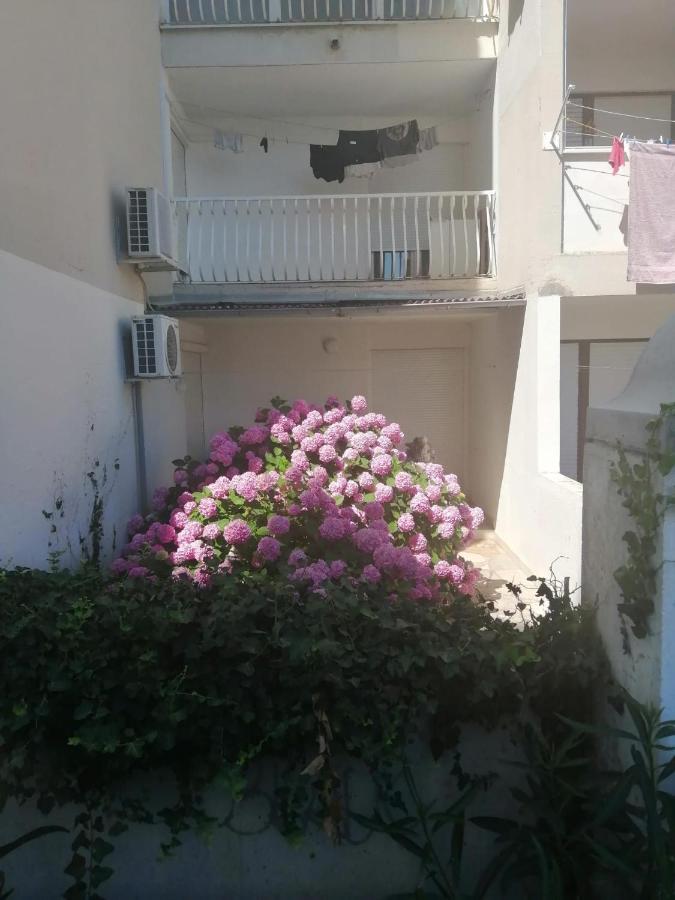 Hortensija Σπλιτ Εξωτερικό φωτογραφία